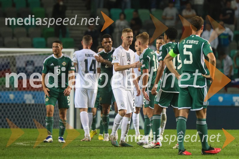 Slovenija v Stožicah premagala Severno Irsko