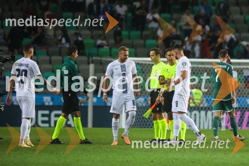 Slovenija v Stožicah premagala Severno Irsko