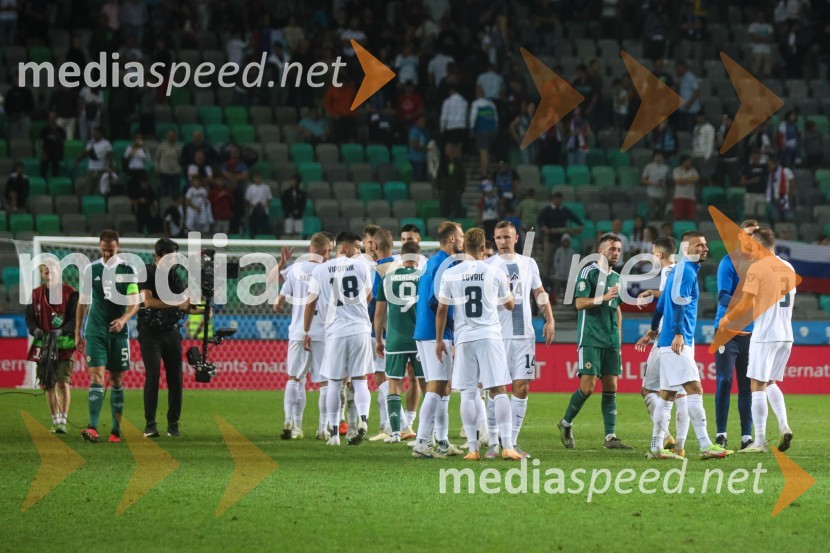 Slovenija v Stožicah premagala Severno Irsko