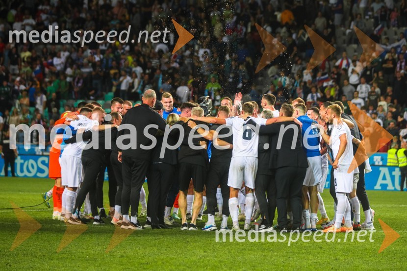 Slovenija v Stožicah premagala Severno Irsko