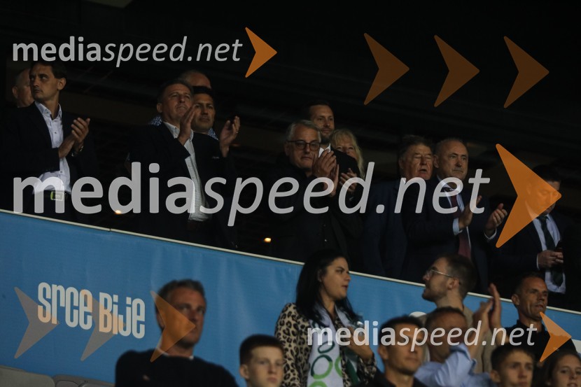 Slovenija v Stožicah premagala Severno Irsko