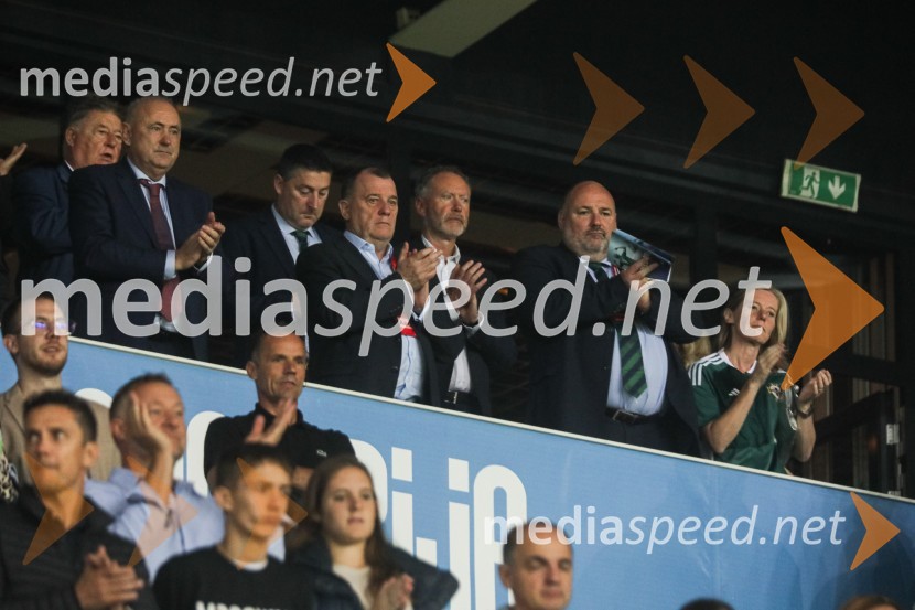 Slovenija v Stožicah premagala Severno Irsko