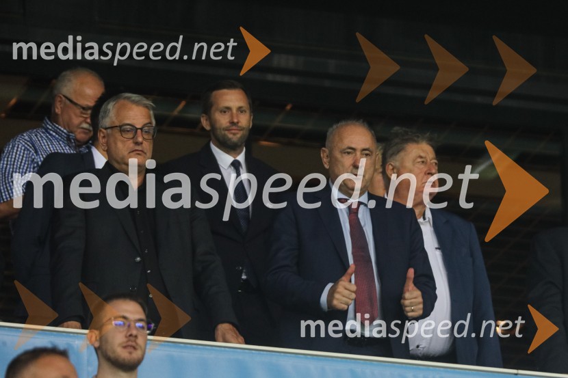 Slovenija v Stožicah premagala Severno Irsko