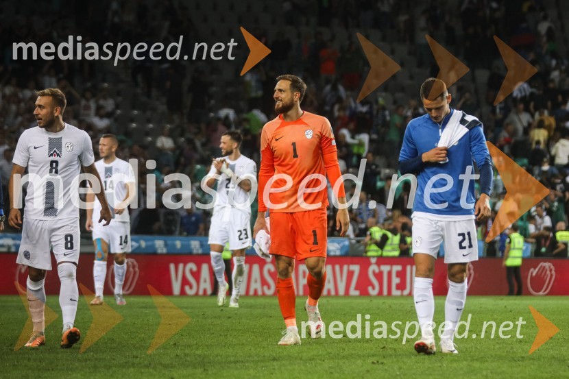 Slovenija v Stožicah premagala Severno Irsko