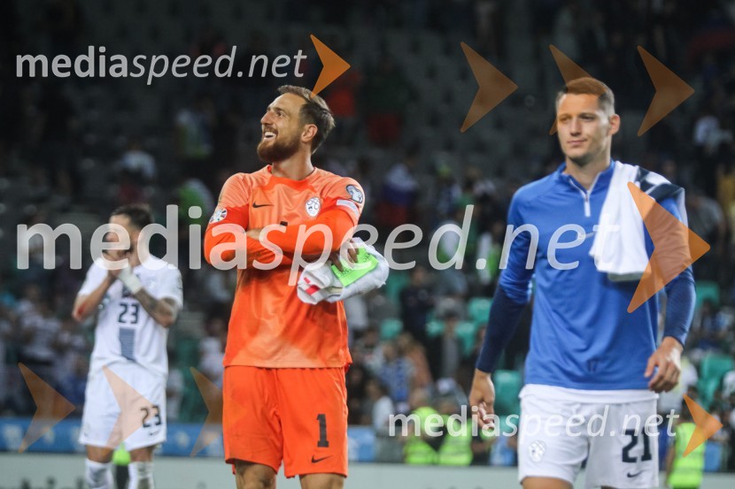 Slovenija v Stožicah premagala Severno Irsko