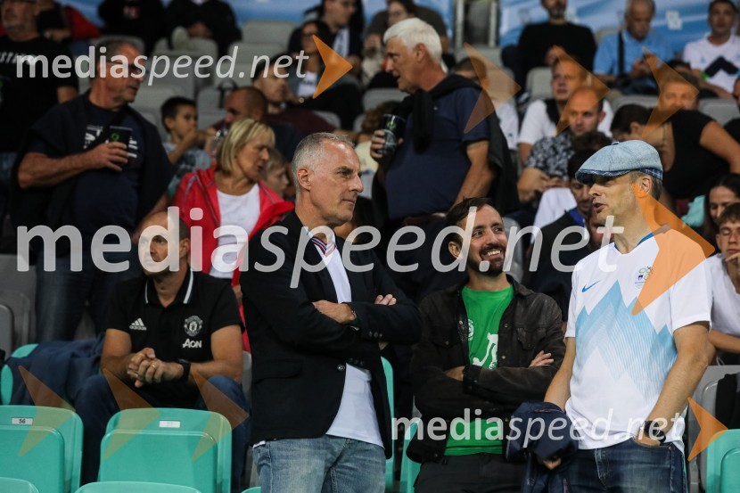 Slovenija v Stožicah premagala Severno Irsko