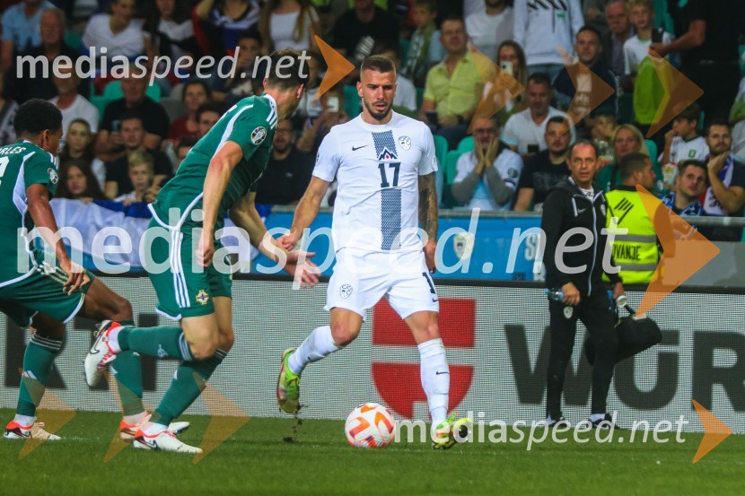 Slovenija v Stožicah premagala Severno Irsko