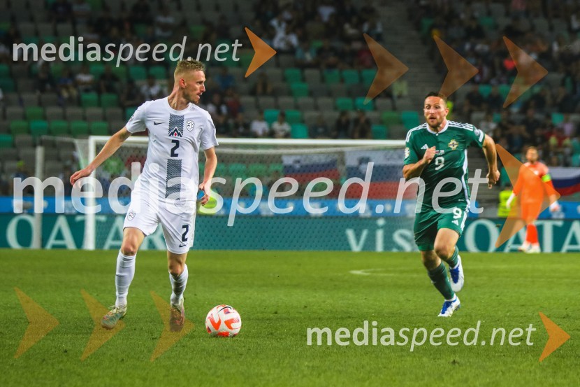 Slovenija v Stožicah premagala Severno Irsko