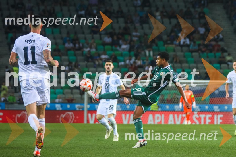 Slovenija v Stožicah premagala Severno Irsko