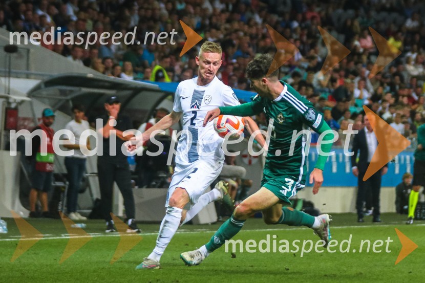 Slovenija v Stožicah premagala Severno Irsko