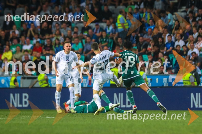 Slovenija v Stožicah premagala Severno Irsko