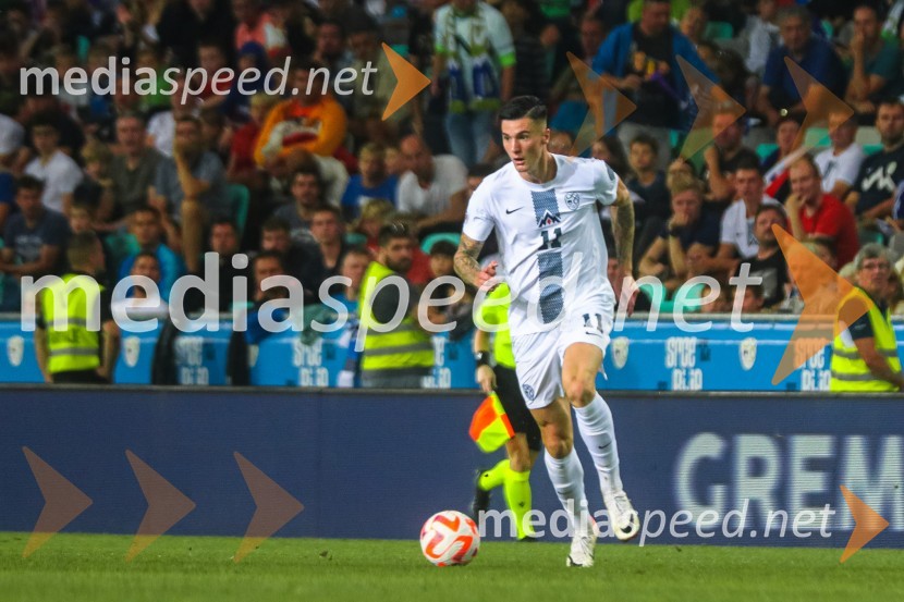 Slovenija v Stožicah premagala Severno Irsko