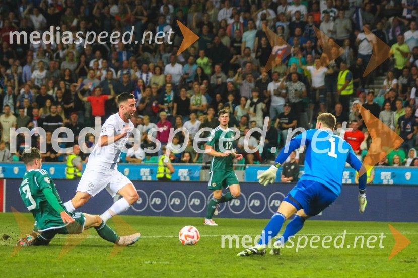 Slovenija v Stožicah premagala Severno Irsko