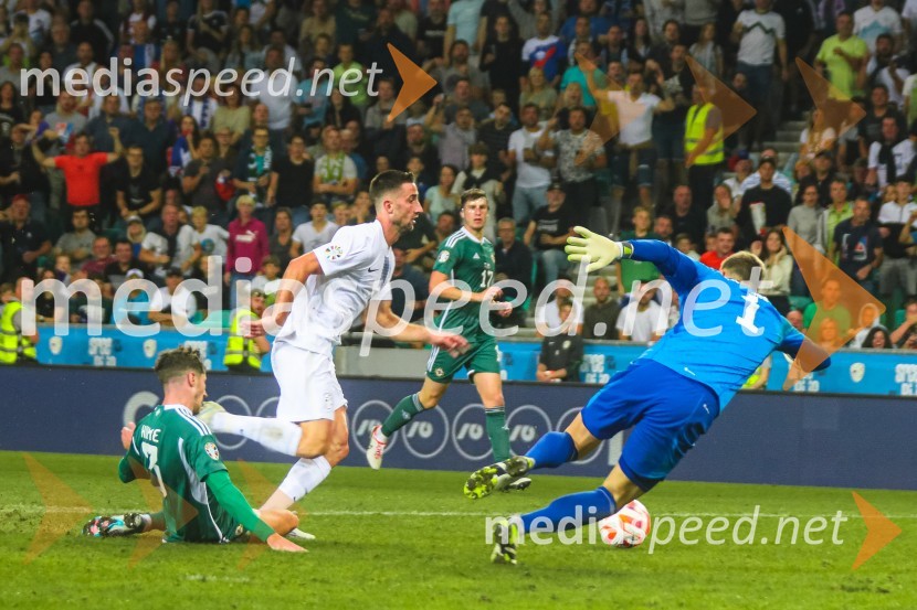Slovenija v Stožicah premagala Severno Irsko