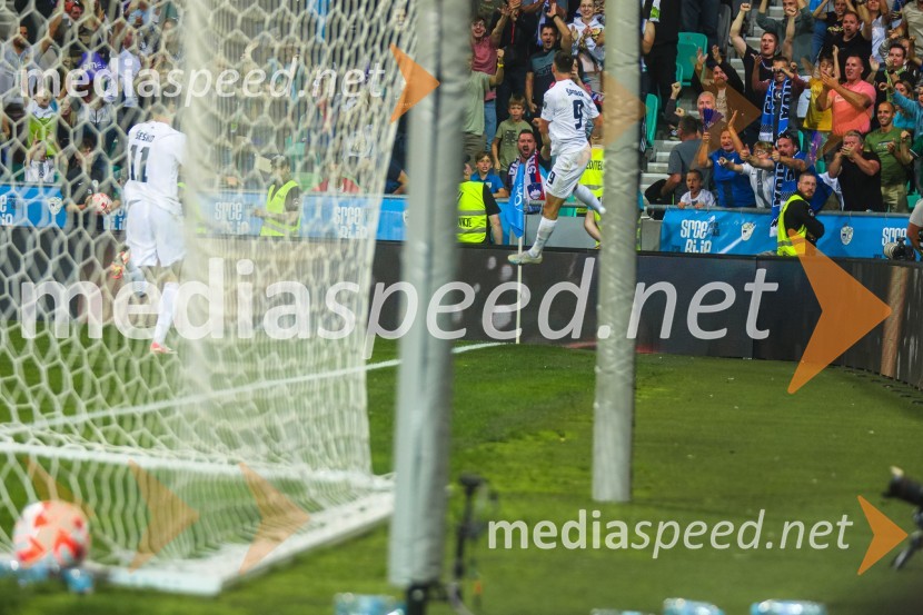 Slovenija v Stožicah premagala Severno Irsko