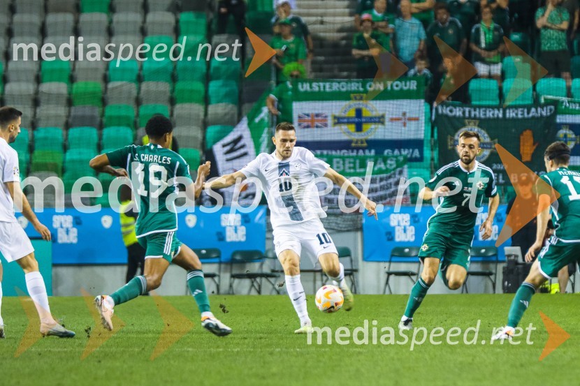 Slovenija v Stožicah premagala Severno Irsko