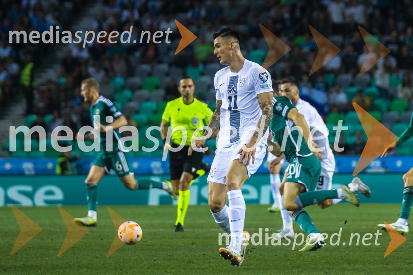 Slovenija v Stožicah premagala Severno Irsko