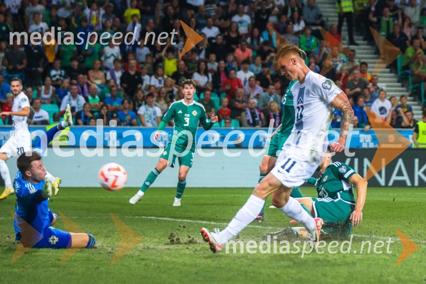 Slovenija v Stožicah premagala Severno Irsko