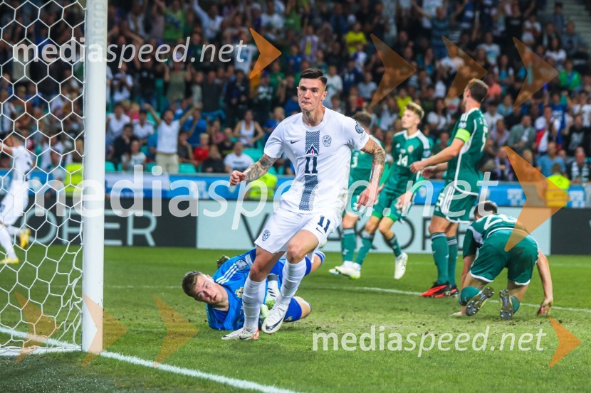 Slovenija v Stožicah premagala Severno Irsko