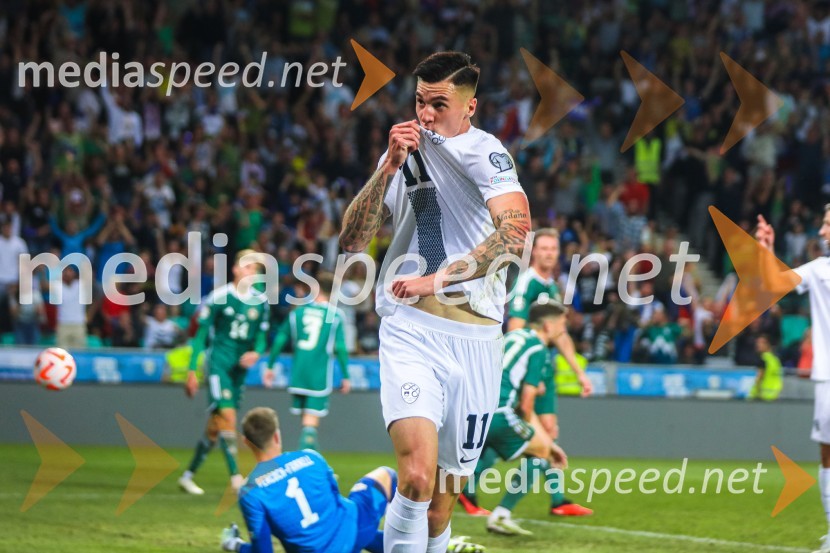 Slovenija v Stožicah premagala Severno Irsko