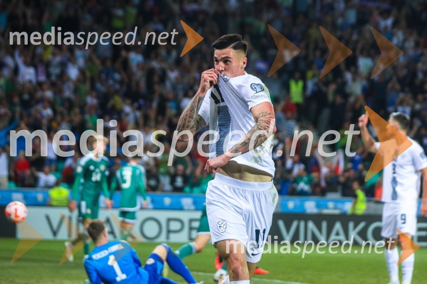 Slovenija v Stožicah premagala Severno Irsko