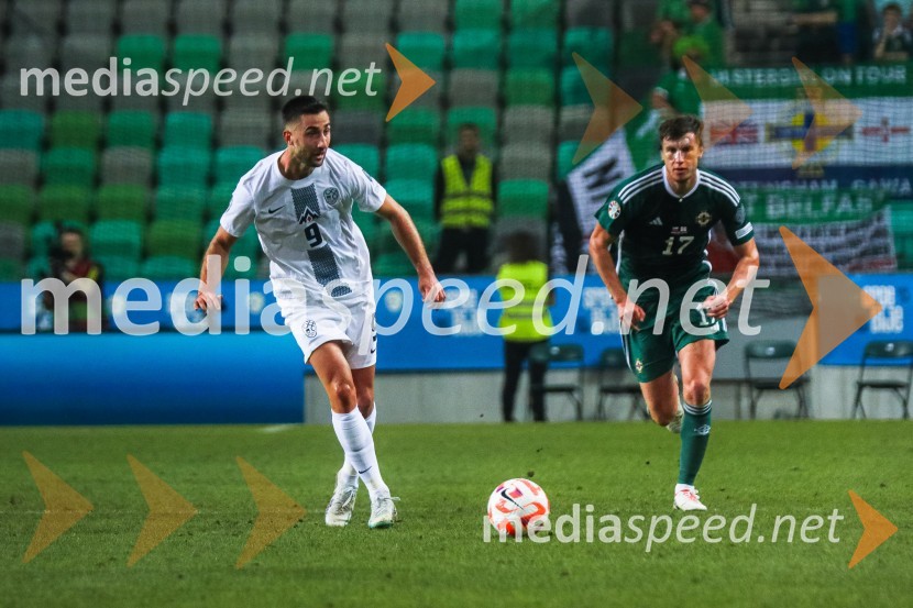 Slovenija v Stožicah premagala Severno Irsko