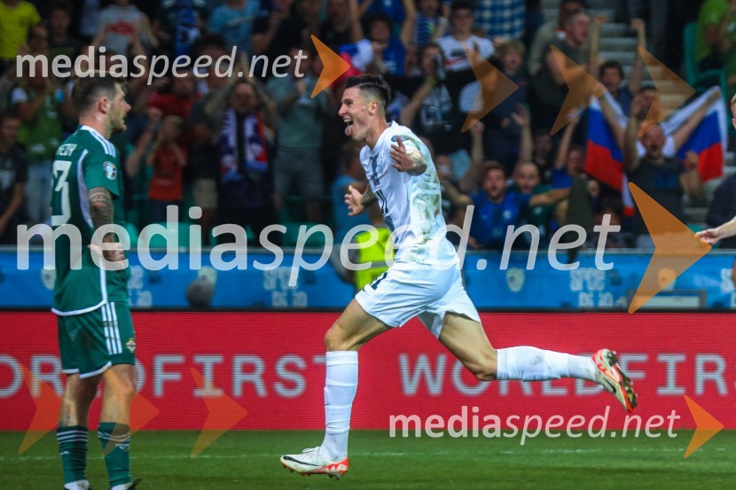 Slovenija v Stožicah premagala Severno Irsko