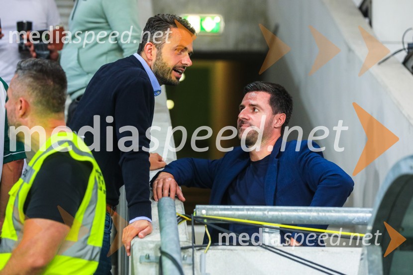 Slovenija v Stožicah premagala Severno Irsko