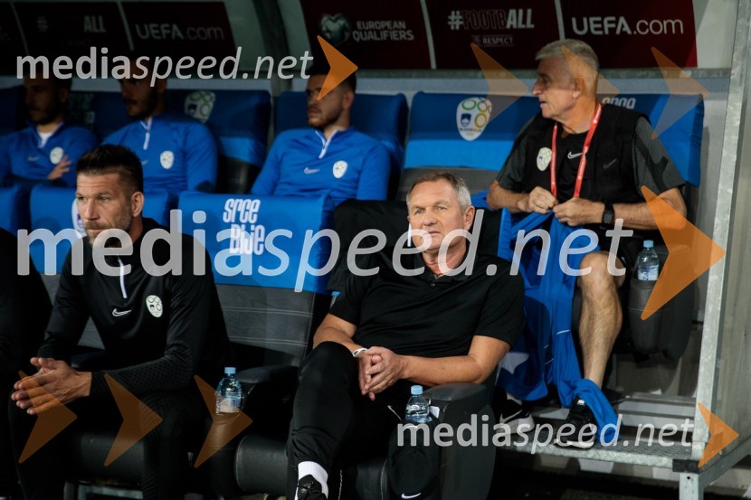 Slovenija v Stožicah premagala Severno Irsko