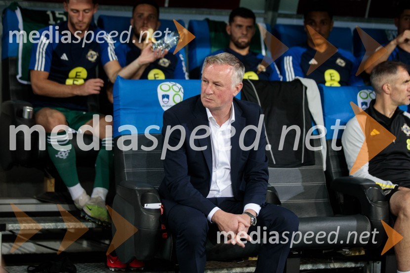 Slovenija v Stožicah premagala Severno Irsko