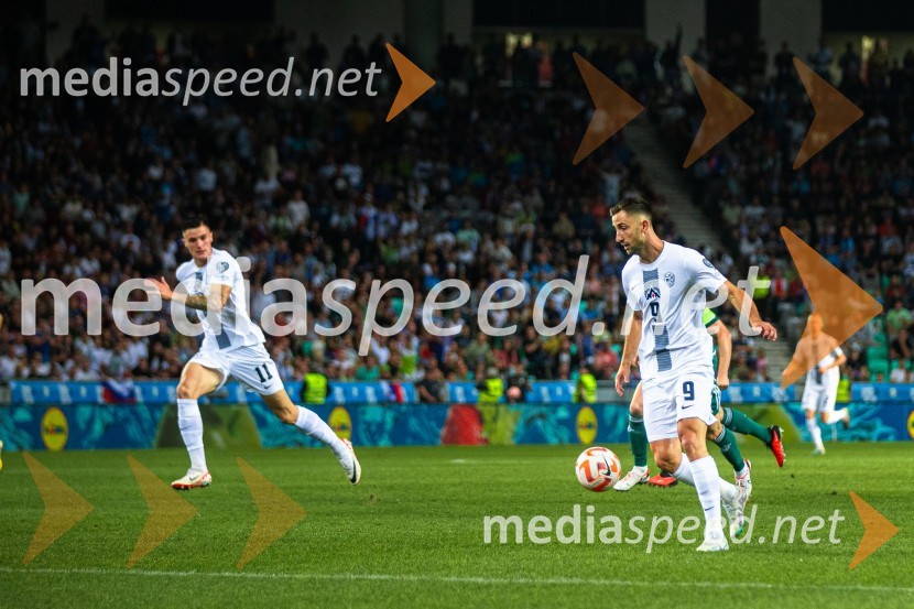 Slovenija v Stožicah premagala Severno Irsko