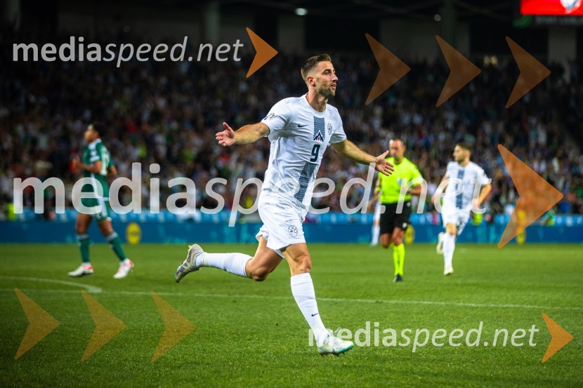 Slovenija v Stožicah premagala Severno Irsko