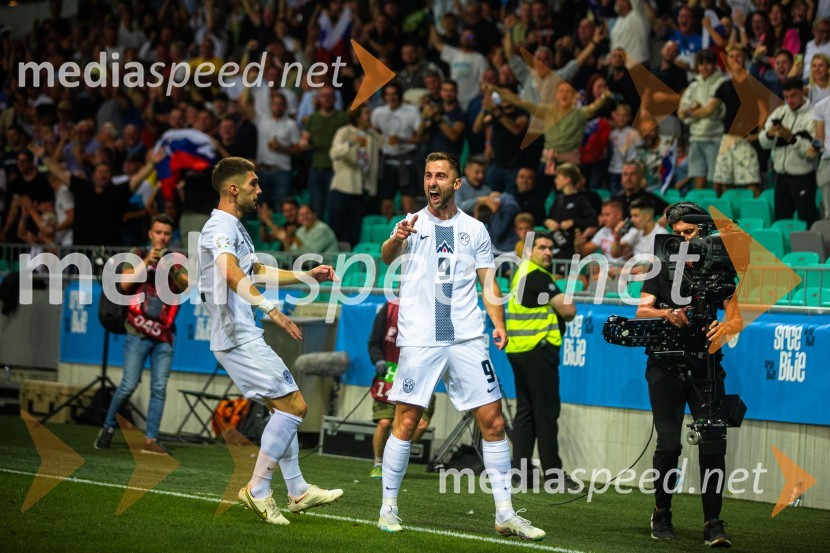 Slovenija v Stožicah premagala Severno Irsko