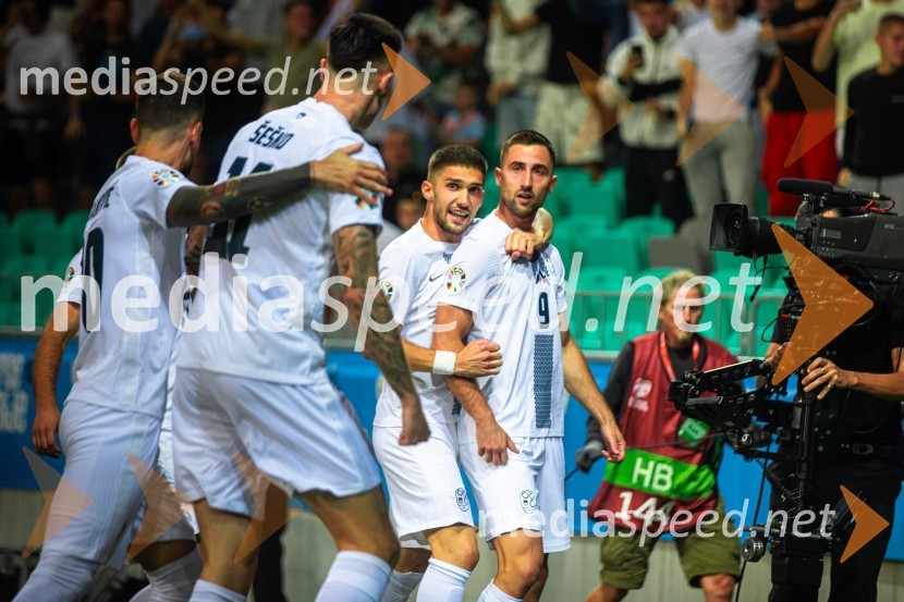 Slovenija v Stožicah premagala Severno Irsko