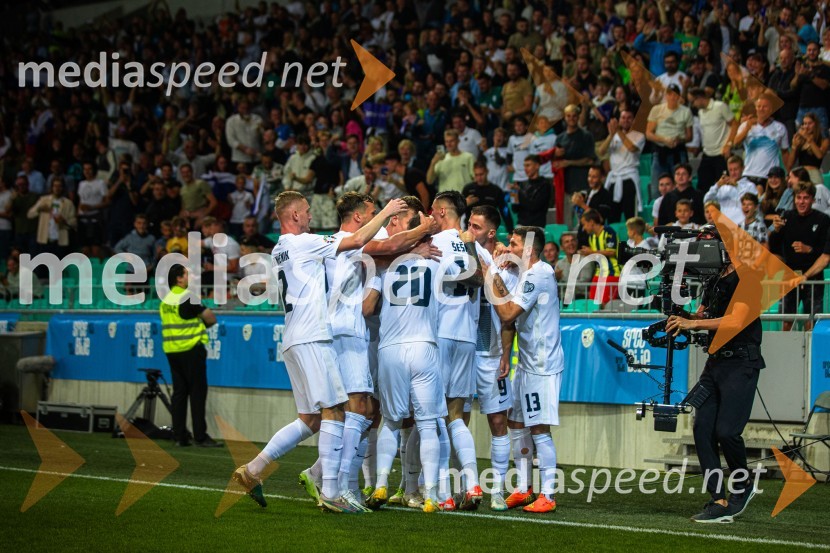 Slovenija v Stožicah premagala Severno Irsko