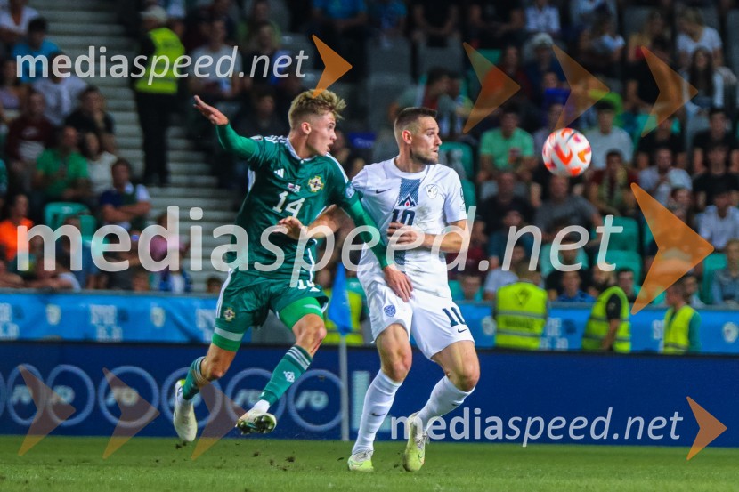 Slovenija v Stožicah premagala Severno Irsko