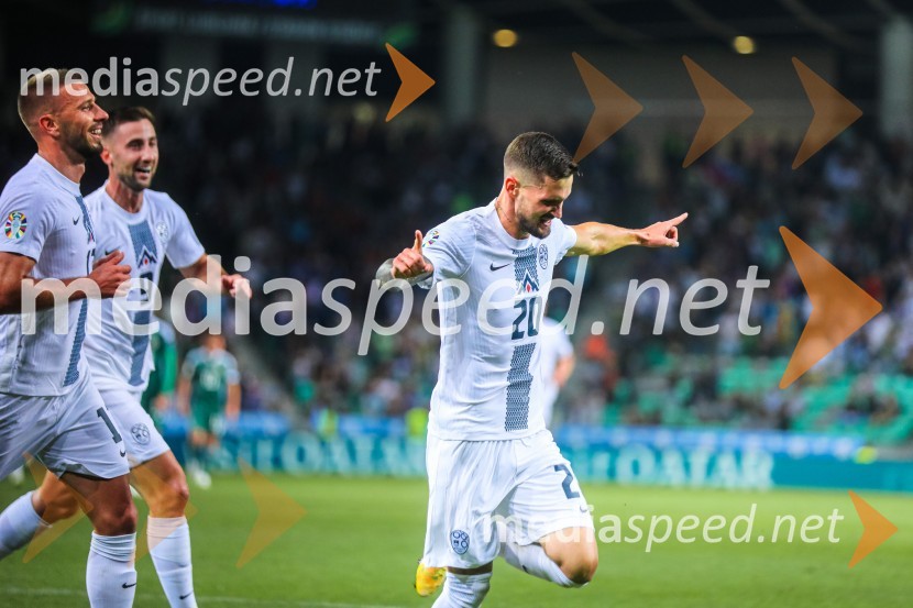 Slovenija v Stožicah premagala Severno Irsko