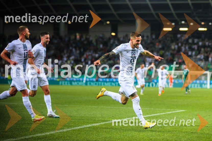 Slovenija v Stožicah premagala Severno Irsko