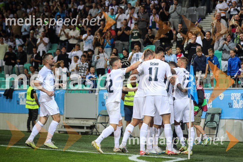 Slovenija v Stožicah premagala Severno Irsko