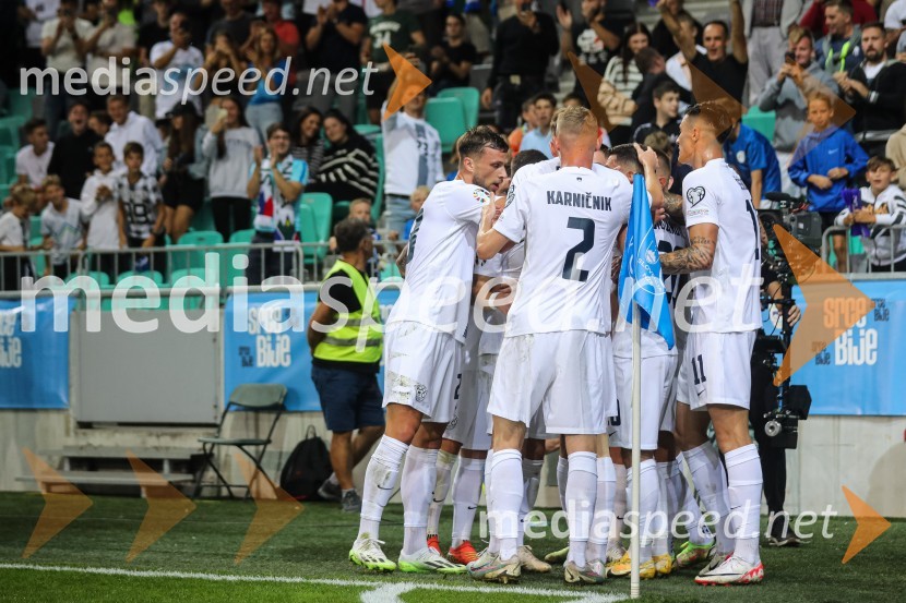 Slovenija v Stožicah premagala Severno Irsko