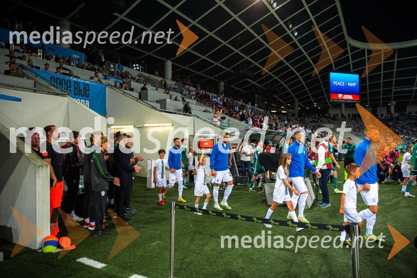 Slovenija v Stožicah premagala Severno Irsko