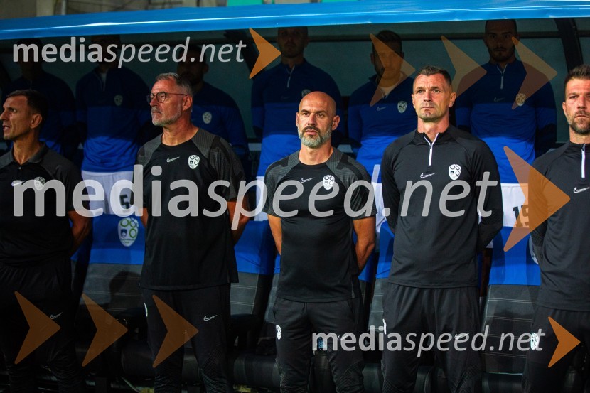 Slovenija v Stožicah premagala Severno Irsko
