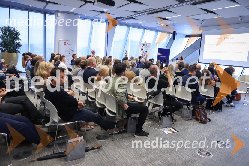 Čaj z razlogom: Razprava o aktualnih trendih na področju naložb