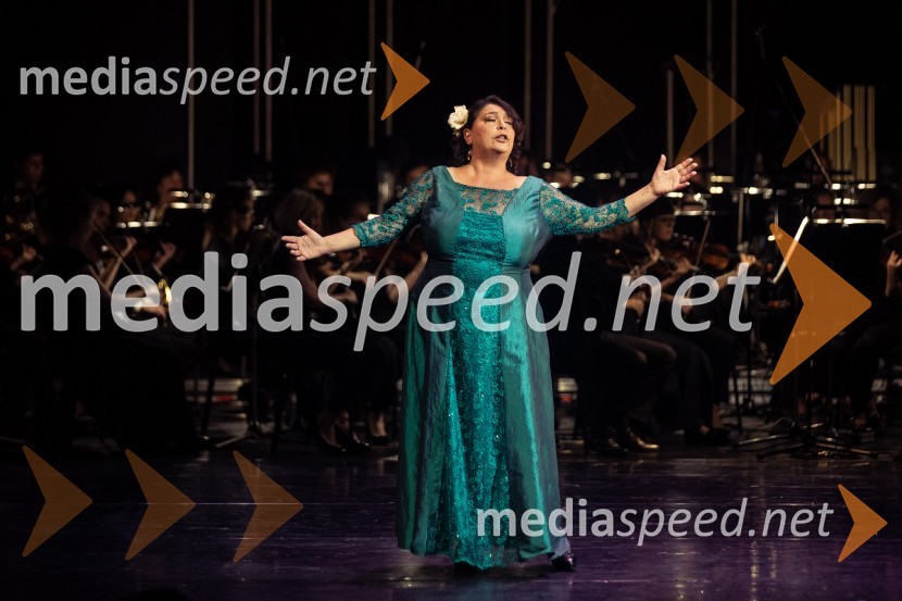 Obrazi življenja, otvoritveni koncert nove sezone v SNG Opera in balet Ljubljana