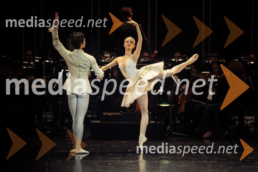 Obrazi življenja, otvoritveni koncert nove sezone v SNG Opera in balet Ljubljana