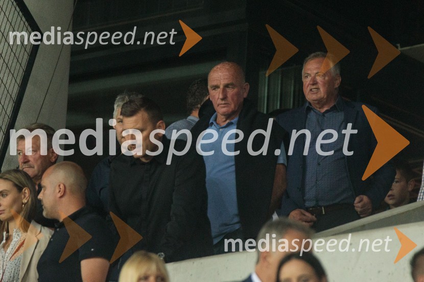  ... ;  Branko OblakDobrodelna tekma: Svetovne zvezde nogometa za žrtve poplav