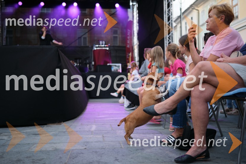 Dan kranjske klobase in piva 2023, petek