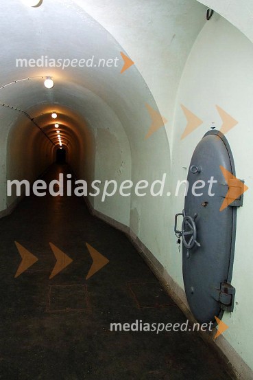 Gotenica, rov...Gotenica, rov...