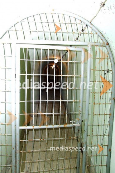 Gotenica, rov...Gotenica, rov...