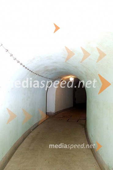 Gotenica, rov...Gotenica, rov...